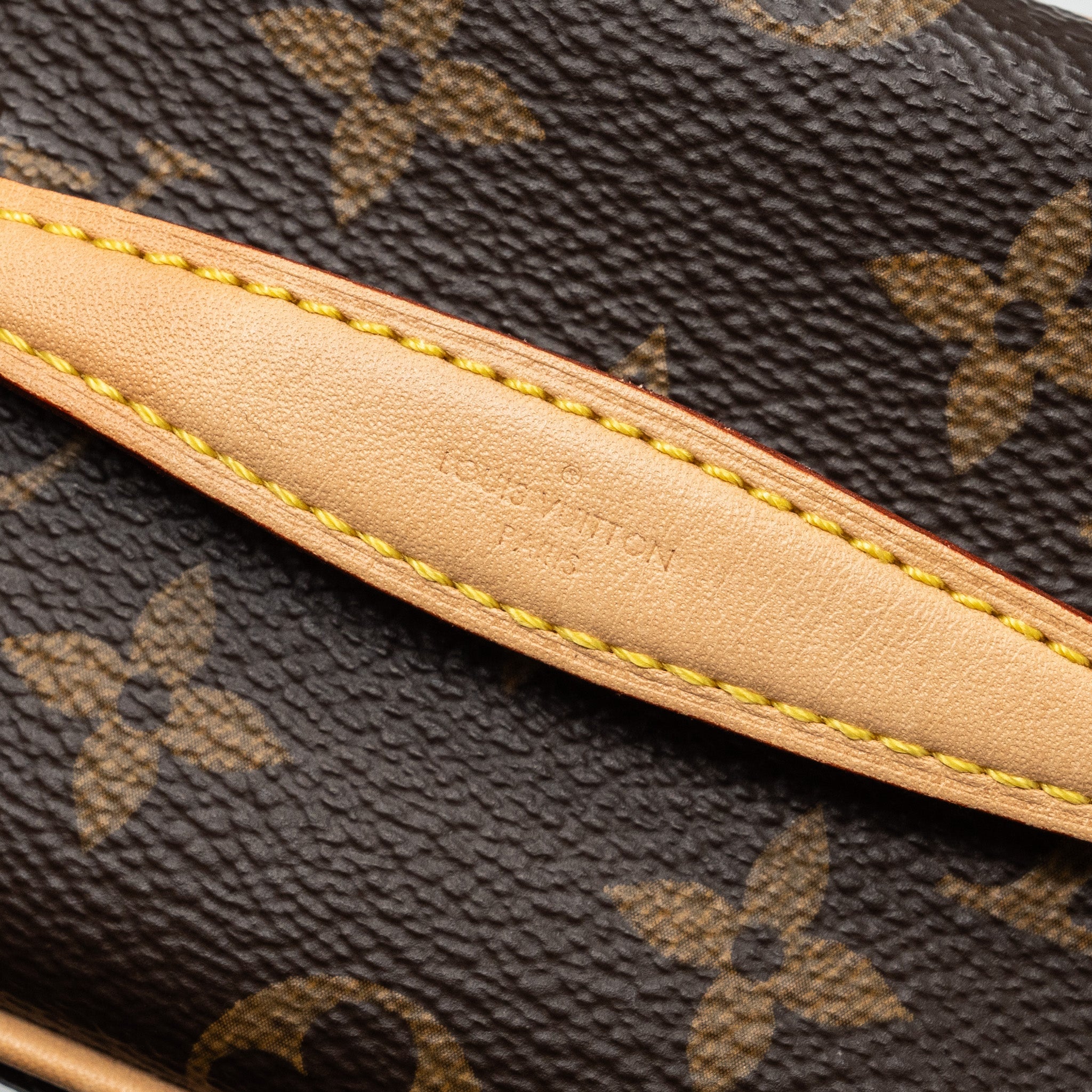 AAA Replica Louis Vuitton LV NICE NANO MONOGRAM CANVAS GHW