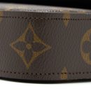 AAA Replica Louis Vuitton LV FELICIE STRAP & GO MONOGRAM CANVAS GHW
