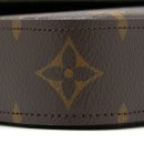 AAA Replica Louis Vuitton LV FELICIE STRAP & GO MONOGRAM CANVAS GHW