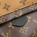 AAA Replica Louis Vuitton LV MINI PALM SPRING BACKPACK REVERSE MONOGRAM CANVAS GHW