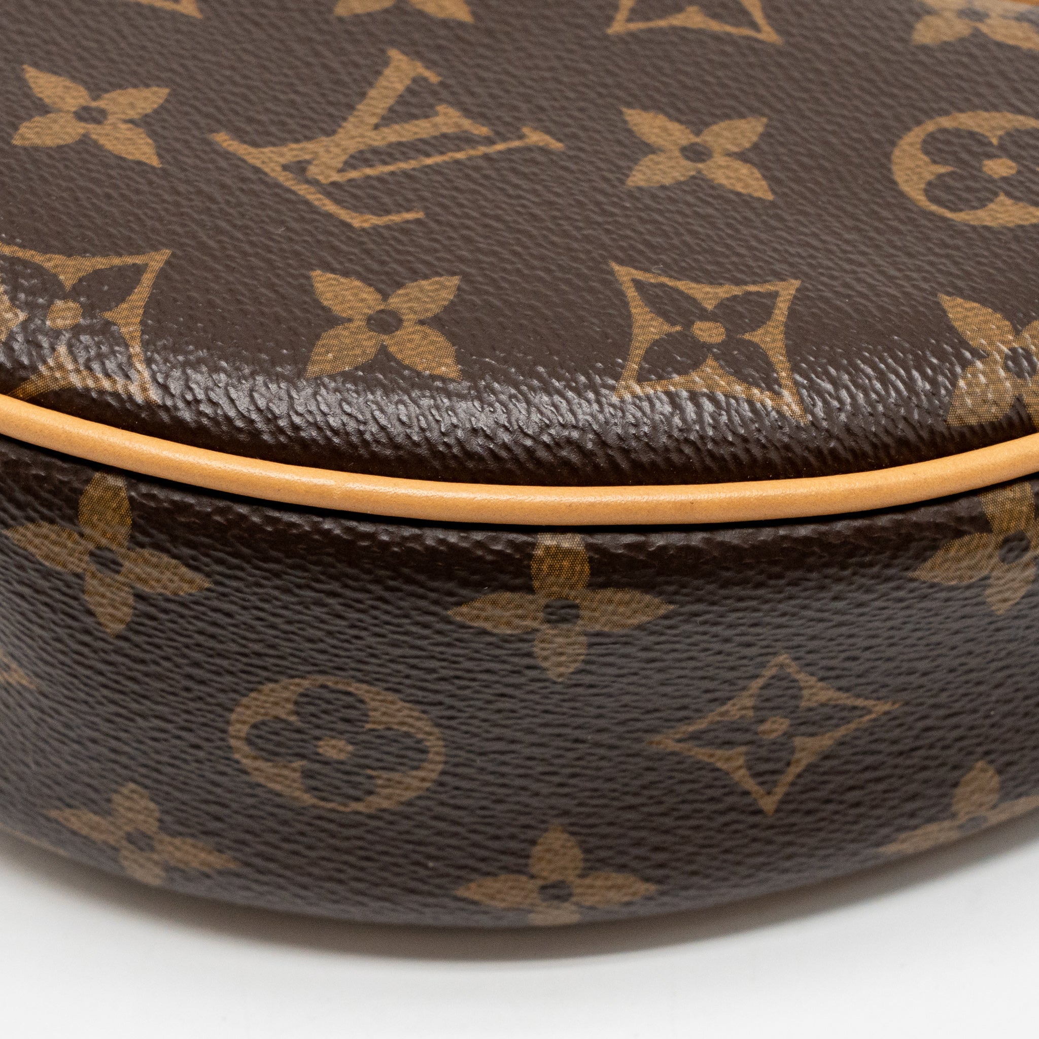 AAA Replica Louis Vuitton LV LOOP MONOGRAM CANVAS GHW