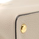 AAA Replica Louis Vuitton LV CAPUCINE MM TAURILLON GALET GHW