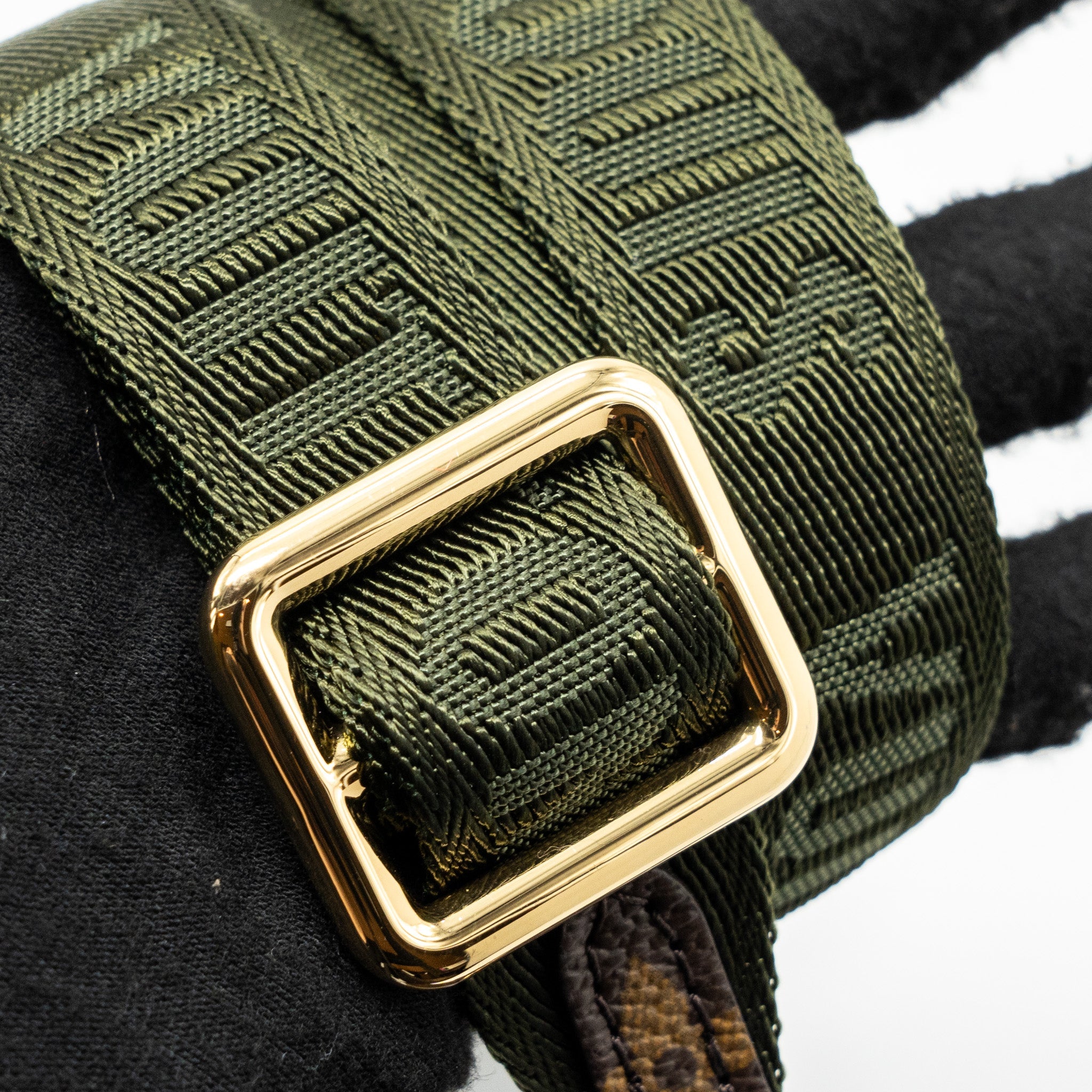AAA Replica Louis Vuitton LV FELICIE STRAP & GO MONOGRAM CANVAS GHW (NEW VERSION)