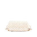 AAA Replica Louis Vuitton LV GRACE CODDINGTON CATOGRAM NEVERFULL MM CANVAS GHW