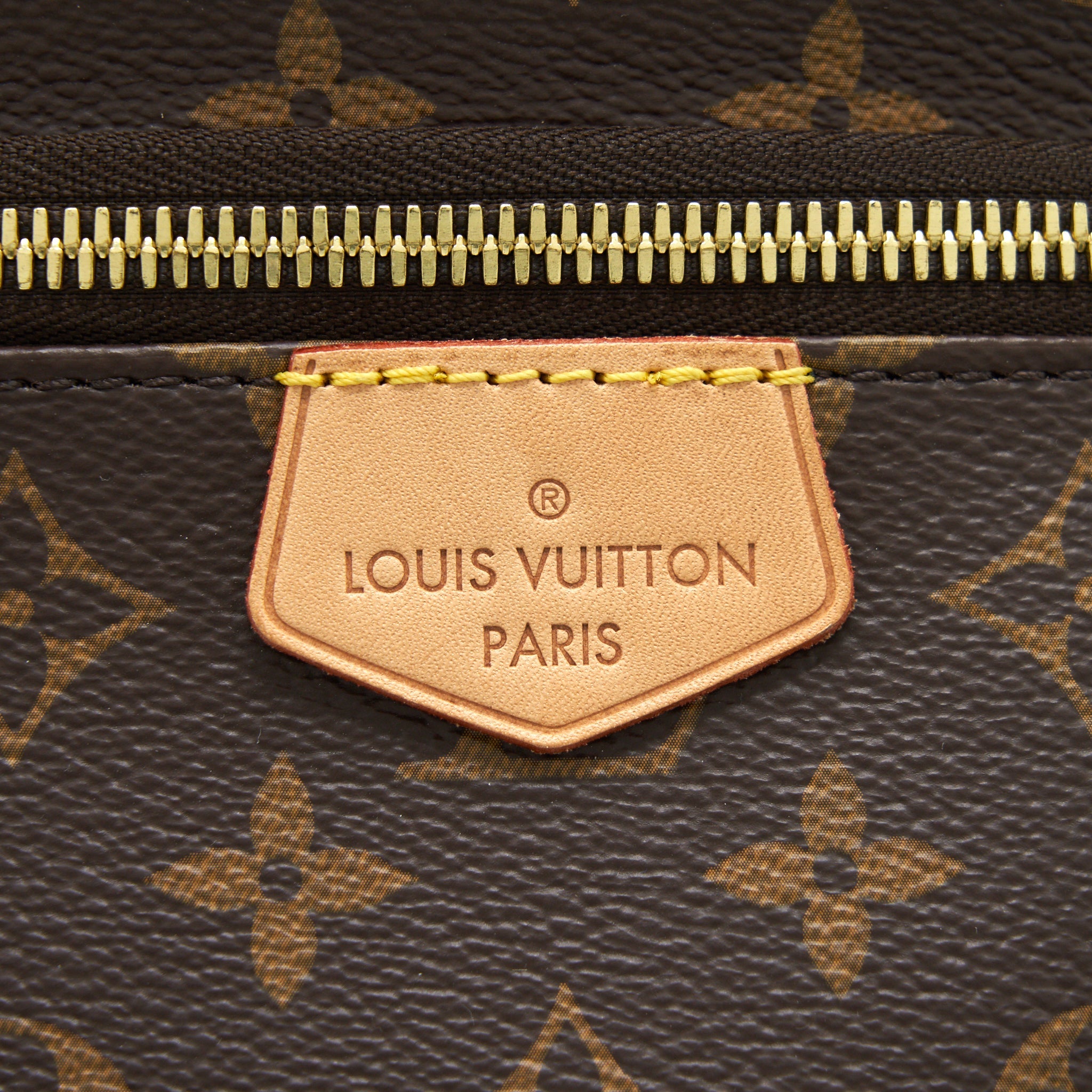 AAA Replica Louis Vuitton LV BUM BAG MONOGRAM CANVAS