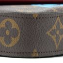 AAA Replica Louis Vuitton LV FELICIE POCHETTE LIMITED EDITION MONOGRAM CANVAS GHW