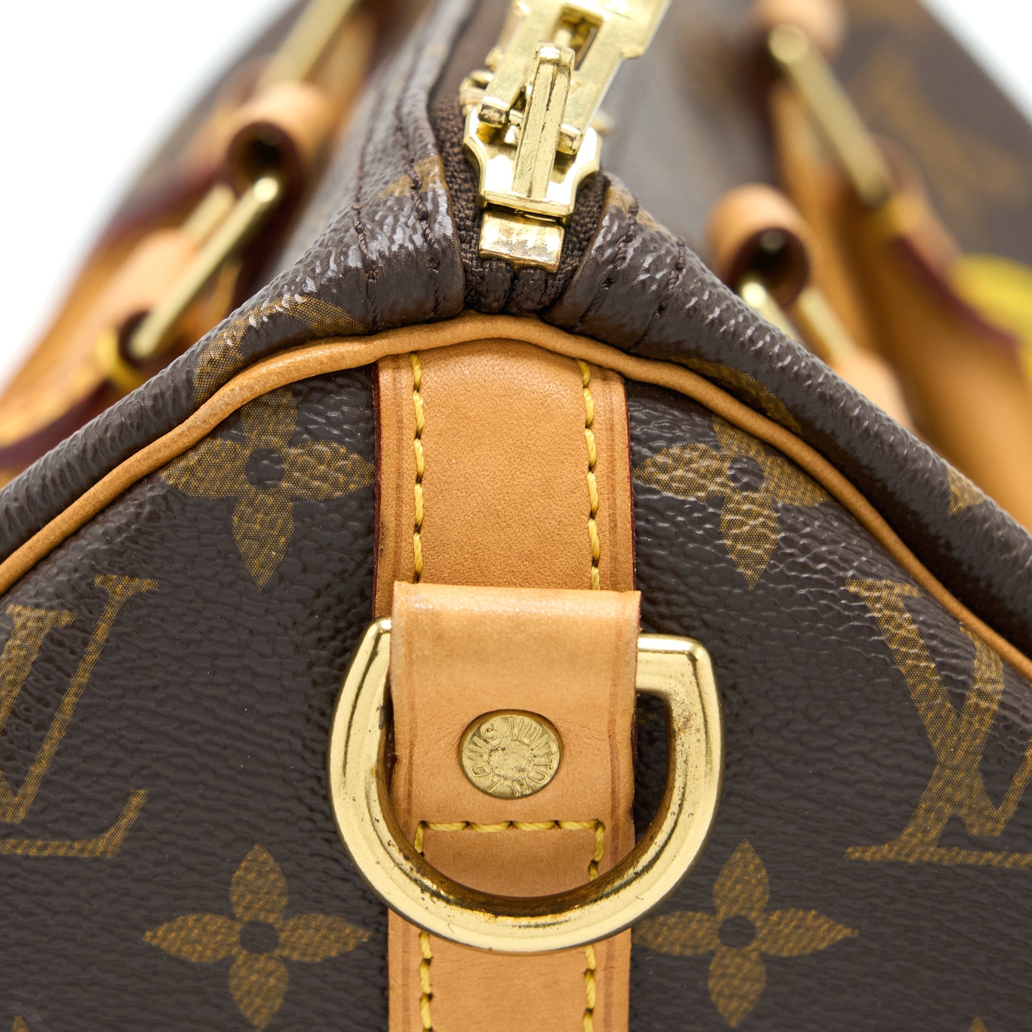 AAA Replica Louis Vuitton LV SPEEDY 30 LIMITED EDITION MONOGRAM CANVAS GHW