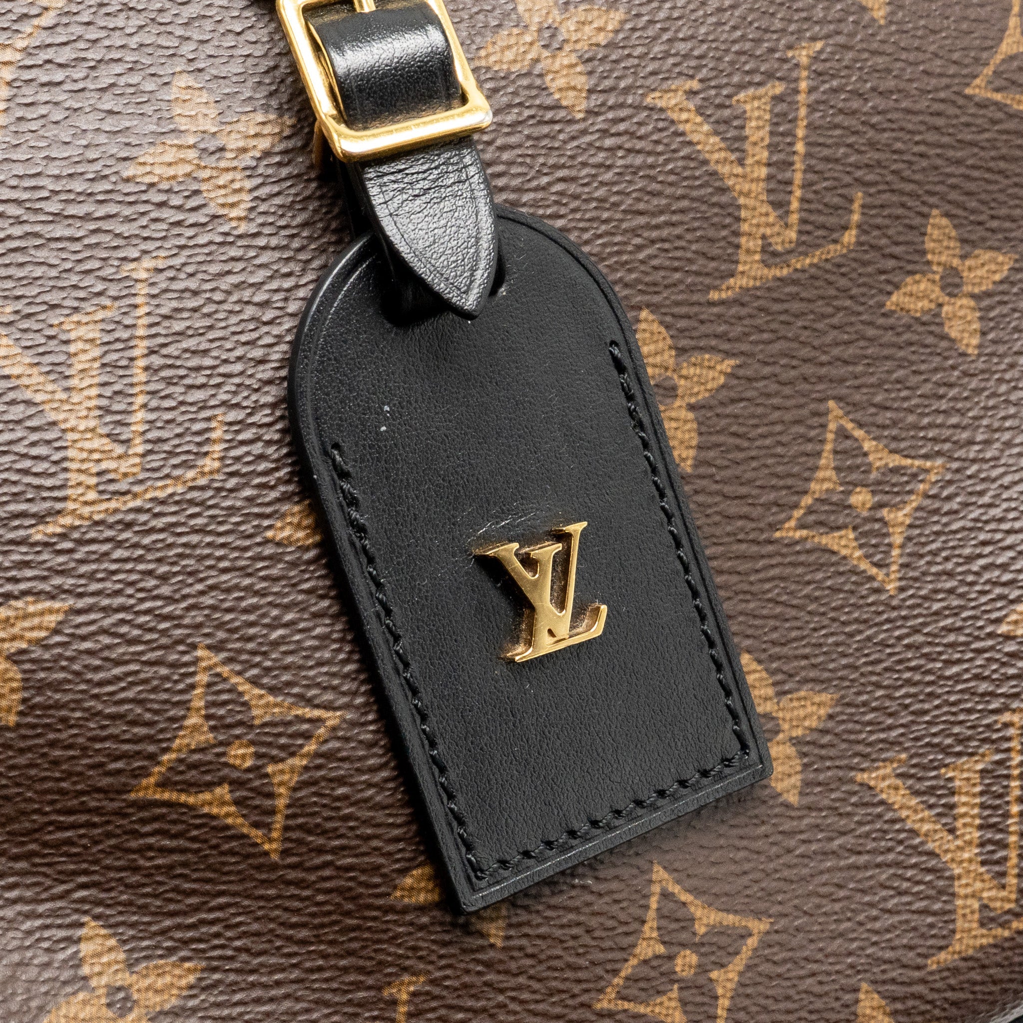 AAA Replica Louis Vuitton LV ODEON PM BAG MONOGRAM CANVAS BLACK GHW