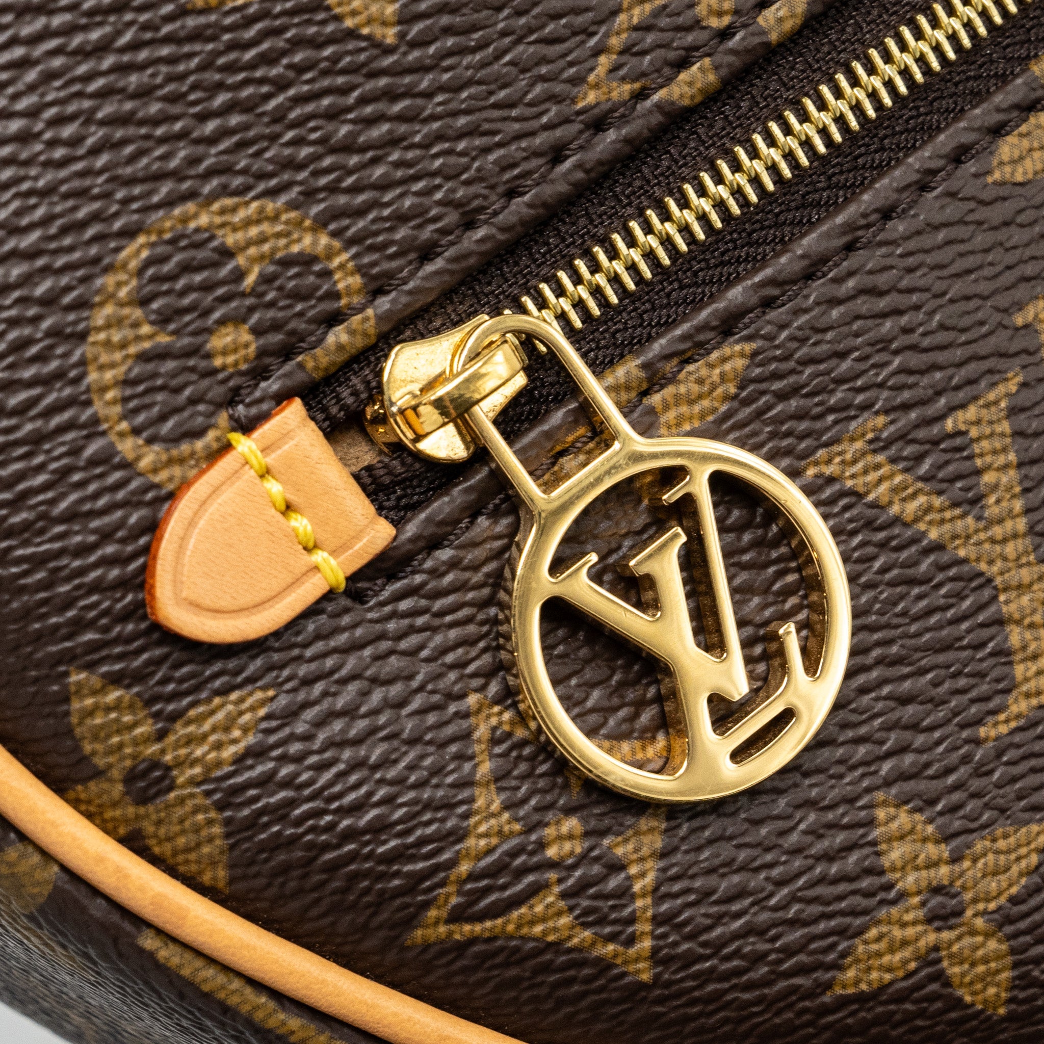 AAA Replica Louis Vuitton LV LOOP BAG MONOGRAM CANVAS GHW