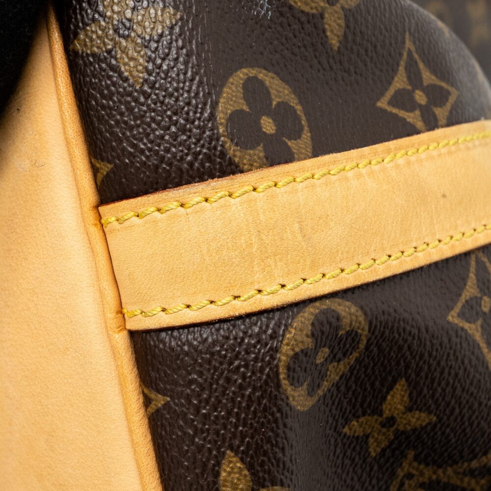 AAA Replica Louis Vuitton LV PETIT NOE MONOGRAM CANVAS GHW