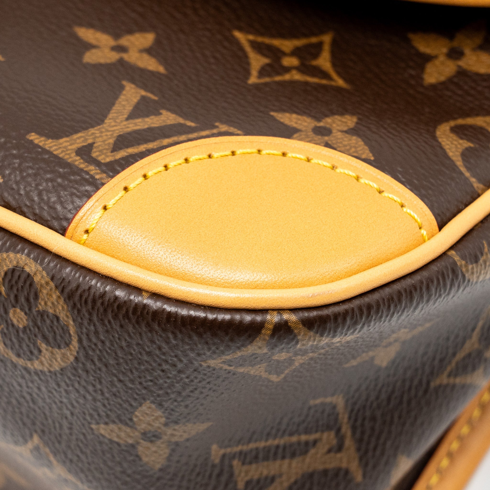 AAA Replica Louis Vuitton LV DIANE BAG WITH FUCHSIA STRAP MONOGRAM CANVAS GHW