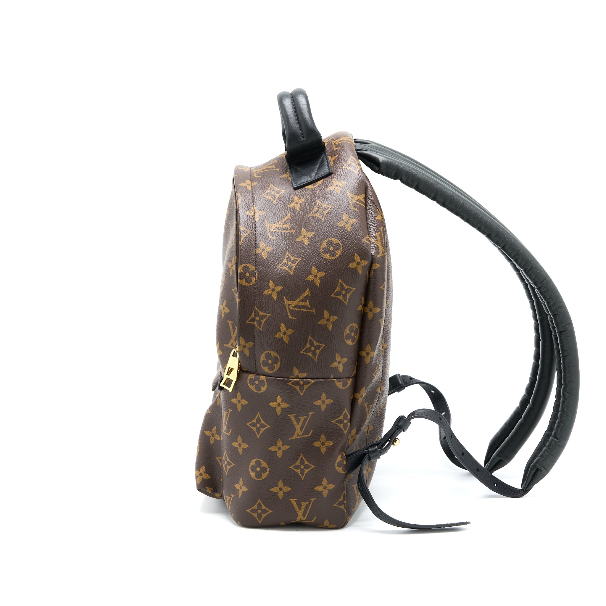 AAA Replica Louis Vuitton LV PALM SPRING BACKPACK MM MONOGRAM CANVAS GHW