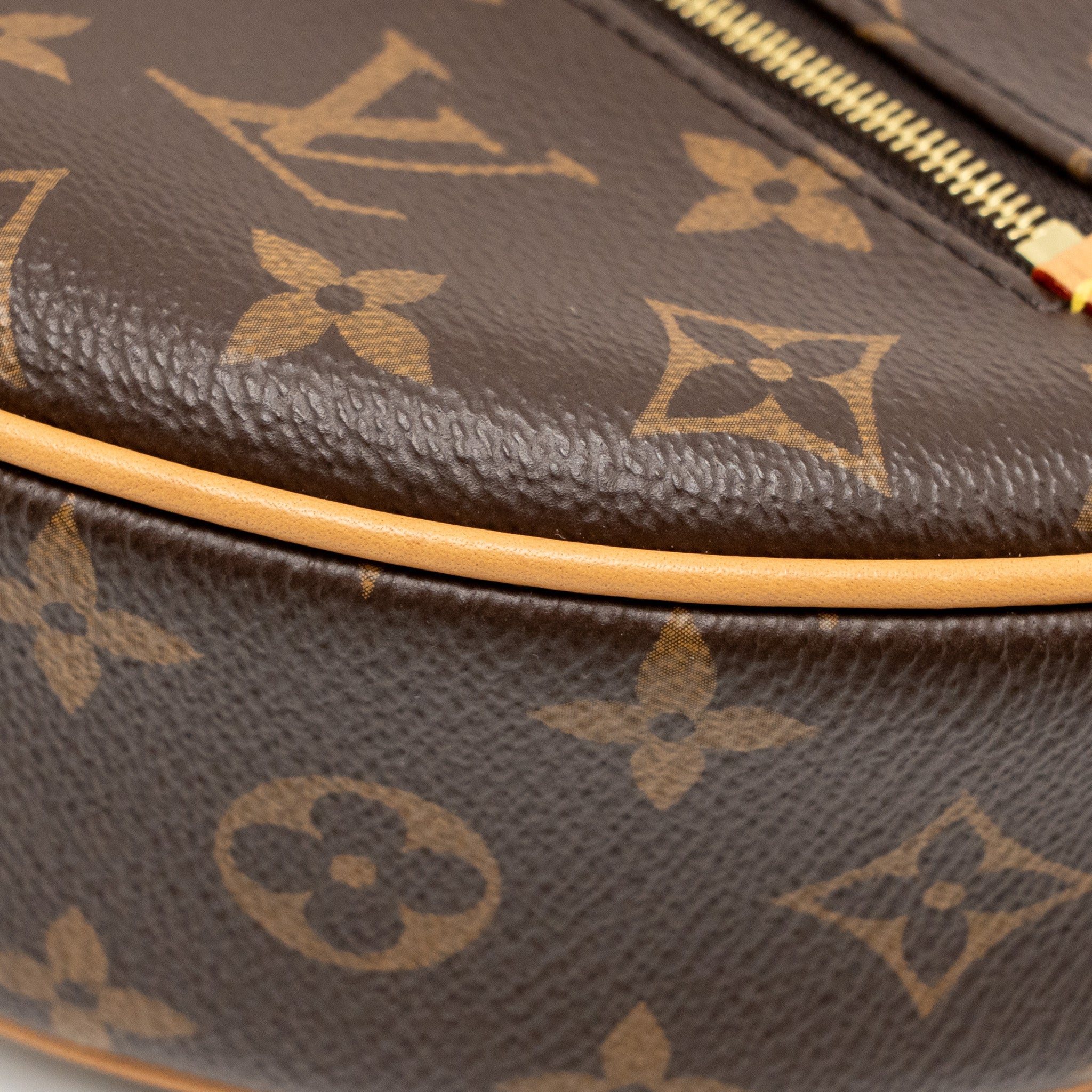 AAA Replica Louis Vuitton LV LOOP BAG MONOGRAM CANVAS GHW