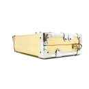 AAA Replica Louis Vuitton LV PETIT MALLE EPI GOLD / SILVER SHW