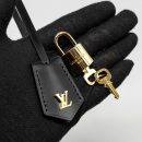 AAA Replica Louis Vuitton LV VANITY CASE PM MONOGRAM REVERSE CANVAS GHW