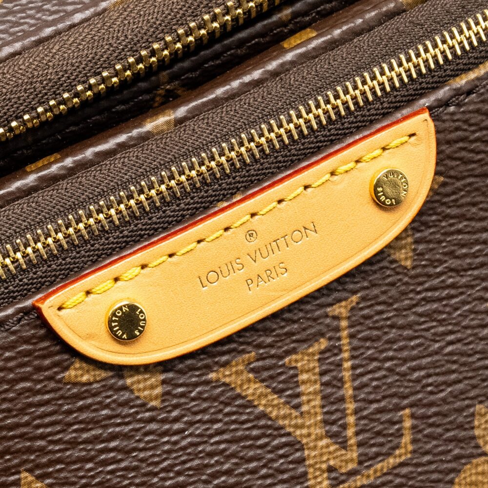 AAA Replica Louis Vuitton LV MINI BUMBAG MONOGRAM CANVAS GHW