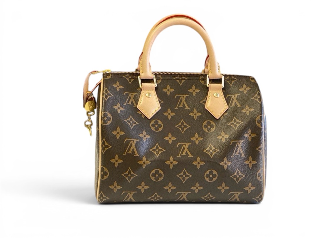 AAA Replica Louis Vuitton LV Speedy 25 Damier Azur M41528